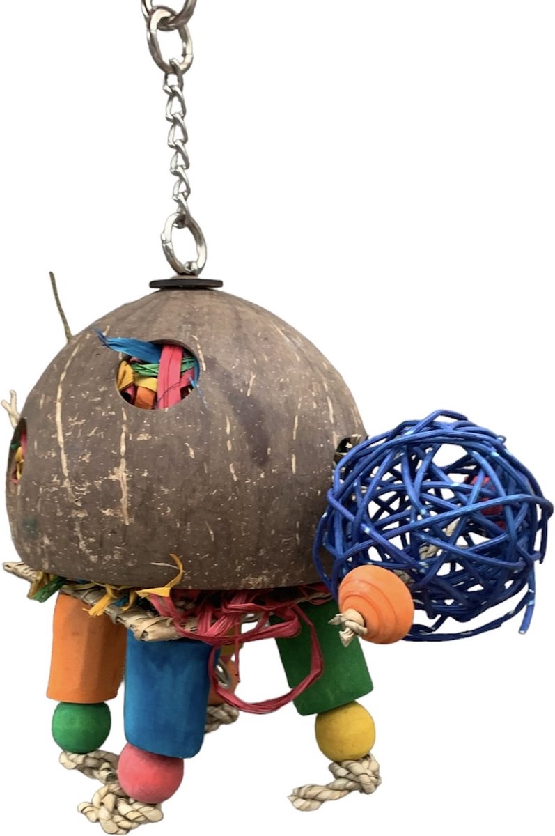 Home en dier Papegaaien speelgoed Vogel speelgoed