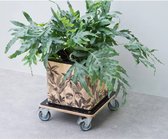 Nature - Planttrolley met wieltjes - H12,5 x 38 x 38cm - Hout - Zwart