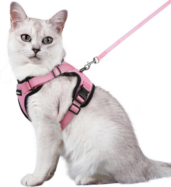 Harnais pour chat avec laisse, harnais souple pour chats, harnais de poitrine, harnais pour chat, incassable, réglable, gilet pour chat, rose, M