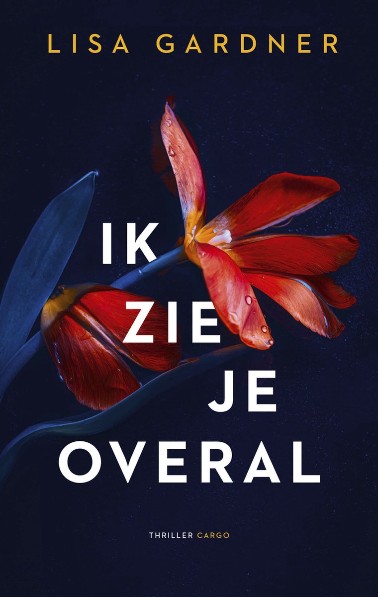 Omslag van Frankie Elkin - Ik zie je overal