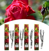 NatureNest - Geurende Grootbloemige tuinrozen mix - 4x Parfumé de Moulin Rouge - Rood - 4 stuks - 50-60 cm