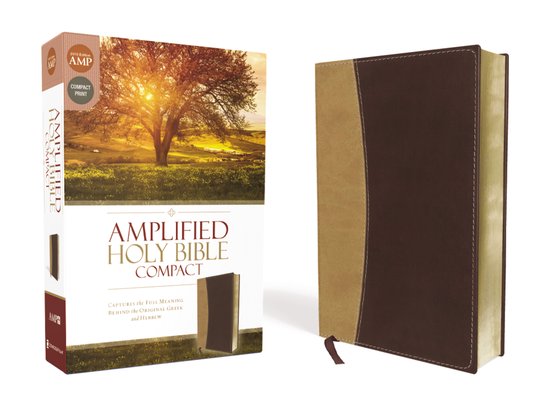 Gouden en bruine 'Amplified Holy Bible Compact' met een landschapsafbeelding van een boom bij zonsondergang op de doos.