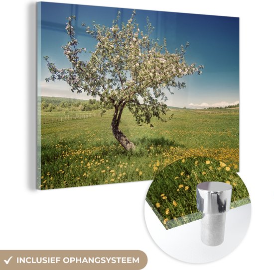 MuchoWow® Peinture sur Verre - Pommier - Printemps - Fleurs - 60x40 cm - Peintures sur Verre Acrylique - Photo sur Glas
