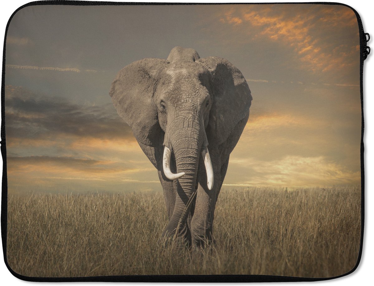 Laptophoes 17 inch - Olifant - Dieren - Gras - Natuur - Laptop sleeve - Binnenmaat 41x28 cm - Zwarte achterkant