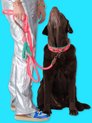 DWAM Dog with a Mission Hondenriem – Riem voor honden – Roze – Polyester/Leer – S – 220 x 1 cm – Extra Lange Sugarbabe
