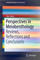 SpringerBriefs in Biology - Perspectives in Meiobenthology