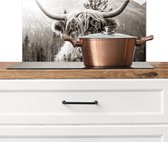 Spatscherm keuken 60x30 cm - Kookplaat achterwand Koe - Schotse Hooglander - Zwart - Wit - Muurbeschermer - Spatwand fornuis - Hoogwaardig aluminium - Alternatief voor spatscherm van glas