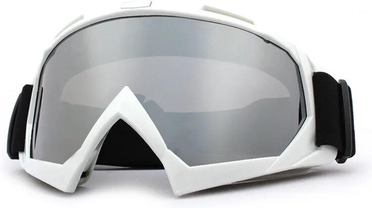 Actania Skibril - Ski Zonnebril - Dames - Heren - Wintersport - Winddicht - UV-Bescherming - Ski Gadgets - Wit/Zilver