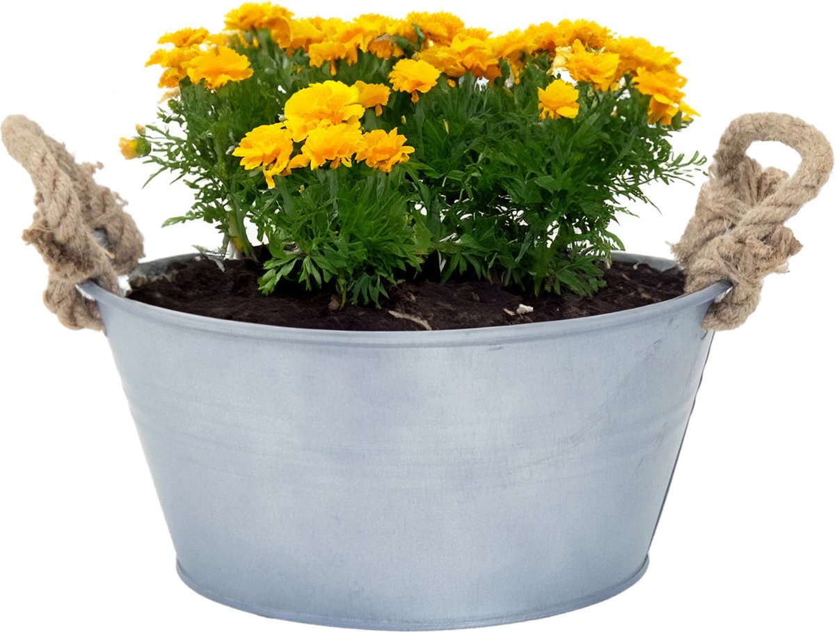 Goedkoopste Mega Collections Teil/plantenpot/bloempot Old Rope - zink - zilver - D26 X H12.5 cm