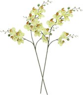 Mica Decorations Kunstbloem Orchidee tak - 2x - lichtgeel - 75 cm - Kunst zijdebloemen