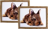 2x Schootkussens/laptrays konijn print 33 x 43 cm - Schoottafels - Dienbladen voor op schoot
