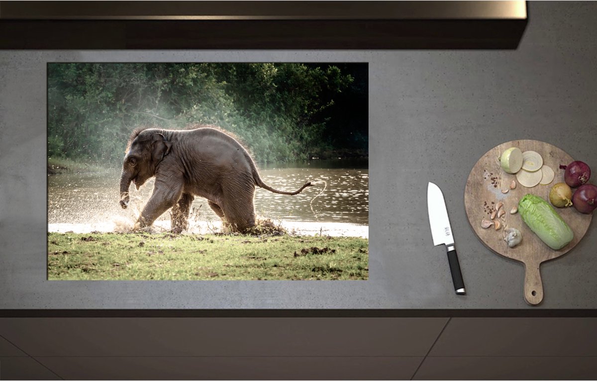 Inductieplaat Beschermer - Baby Olifant Spelend in Meer in Regenwoud - 80x55 cm - 2 mm Dik - Inductie Beschermer - Bescherming Inductiekookplaat - Kookplaat Beschermer van Zwart Vinyl