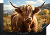 KitchenYeah® Inductie beschermer 75x55 cm - Schotse hooglander - Dier - Natuur - Kookplaataccessoires - Afdekplaat voor kookplaat - Inductiebeschermer - Inductiemat - Inductieplaat mat