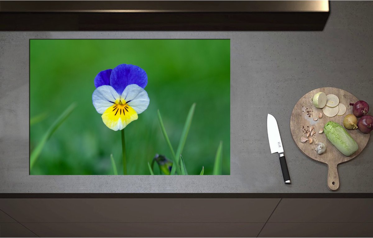 Inductieplaat Beschermer - Blauw met Gele Tuinviool in Grasveld - Bloemen - 80x55 cm - 2 mm Dik - Inductie Beschermer - Bescherming Inductiekookplaat - Kookplaat Beschermer van Zwart Vinyl