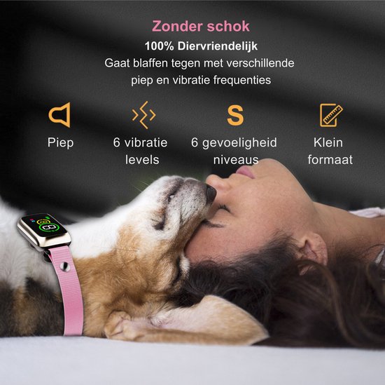 Anti blafband electric budget - Dierenbenodigdheden kopen? | Korting tot 50