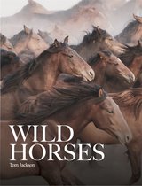 Animals- Wild Horses