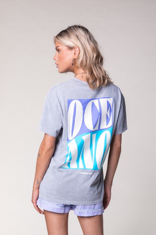 Colourful Rebel Oceano Back Loosefit Tee - S