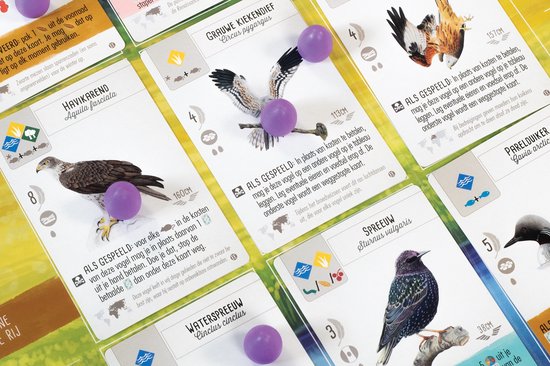 999 Games - Wingspan uitbreiding: Europa - Bordspel