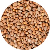 Microgreens Holland Seeds / Daikon / Green Daikon / Microgreens / Kiemgroenten / Cress / 1kg zaden
