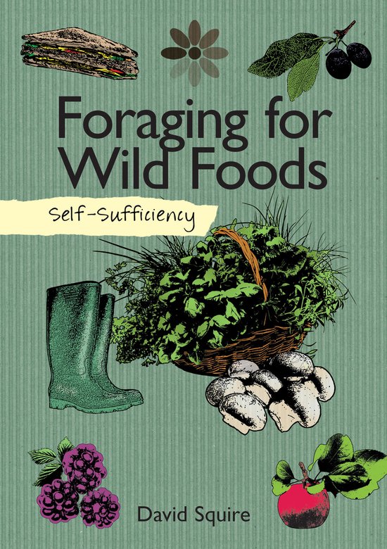 Self Sufficiency Foraging For Wild Foods - cover