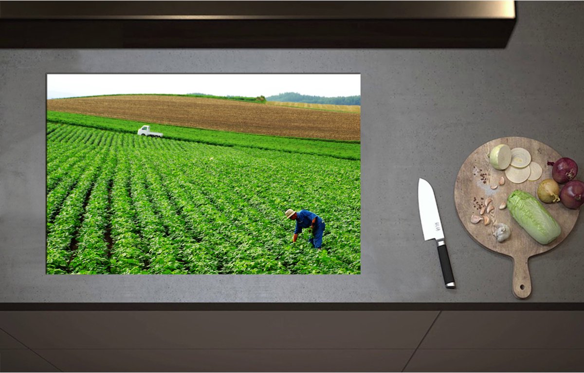 Inductieplaat Beschermer - Boer werkend op het Land vol Gewassen - 80x52 cm - 2 mm Dik - Inductie Beschermer - Bescherming Inductiekookplaat - Kookplaat Beschermer van Zwart Vinyl