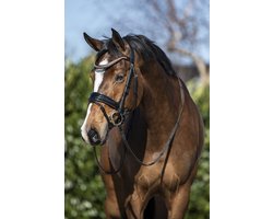 Horsegear Hoofdstel Horsegear Hgblush Zwart | Maat: Pony