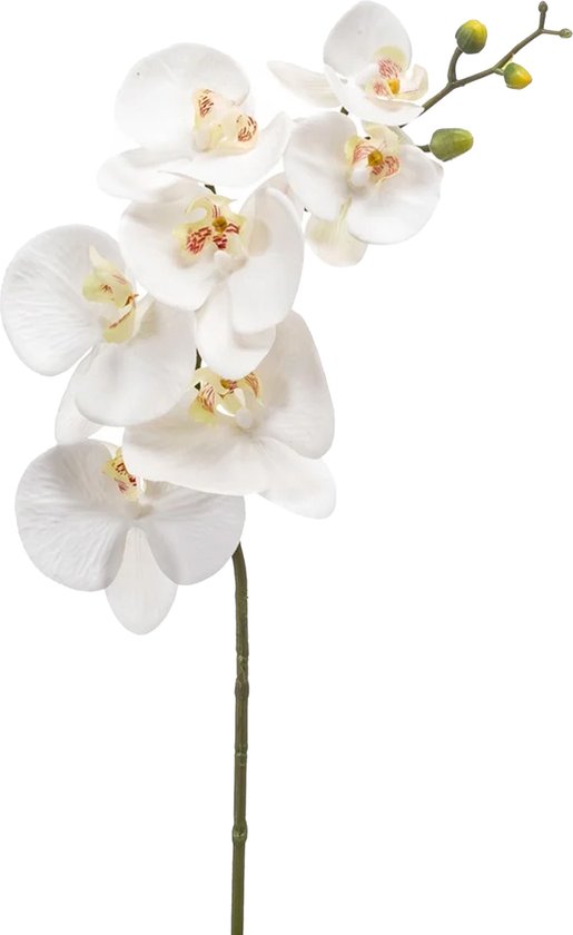 Emerald Kunstbloem Orchidee - 83 cm - wit - losse tak - kunst zijdebloem - Phalaenopsis