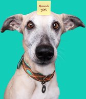 DWAM Dog with a Mission Halsband Hond – Hondenhalsband – Bruin – XL – Leer – Halsomvang tussen 47-57 x 4 cm – Joplin