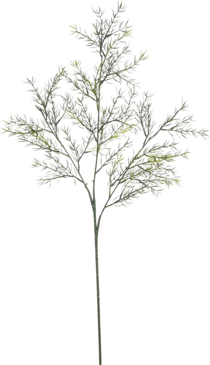 MICA DECORATIONS ASPARAGUS TAK GROEN - L66CM GREEN