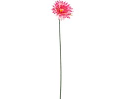 Foto: Mica decorations gerbera d roze l64cm 124886 dk pink c