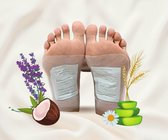 5 Paar VoetPleisters- Ginger - Detox -Foot Pads - Deep Relaxation Patches - 10 Stuks