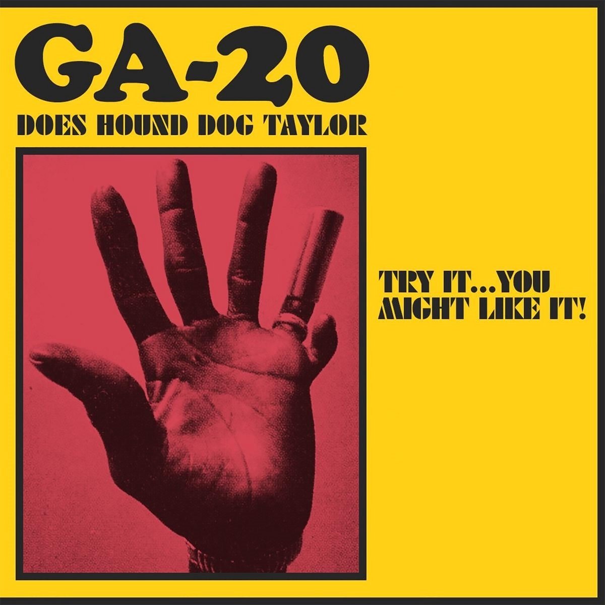 GA-20 - Does Hound Dog Taylor: Try It...You Might Like It! (CD)