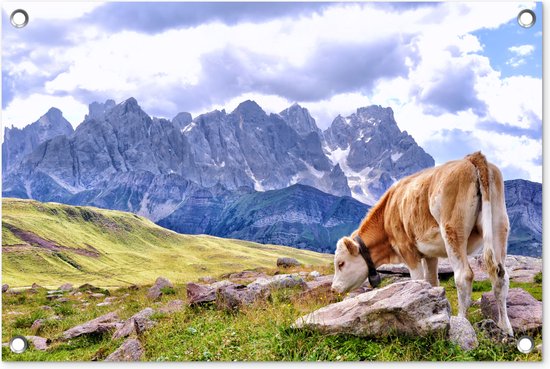 Tuindecoratie Alpen - Koe - Berg - 60x40 cm - Tuinposter - Tuindoek - Buitenposter