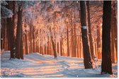 Muurdecoratie Winter - Bos - Boom - 180x120 cm - Tuinposter - Tuindoek - Buitenposter