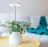 Kweeklamp voor kamerplanten - Kweeklamp Groeilamp voor Planten - 180 graden draaibaar - 3 lichtspectrum opties - GT Classics