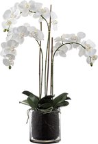 Kunstmatig orchideeën arrangement met transparante witte vaas H90