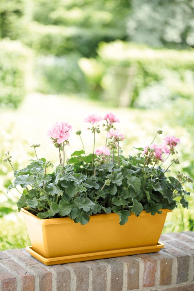 Elho Barcelona Balcony Planter 70 - Outdoor Balcony Planter