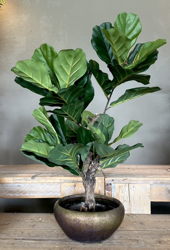 Seta Fiori - Kunst Ficus Lyrata (Tabaksplant) - met Grote Groene Bladeren - op Echt Hout - in Chique Bronzen Schaal - Hotel Chique Stijl