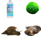 vdvelde.com - Pack aspirateur de bassin Algae Eater Natural - M - Pour 750 – 1 500 L - Nettoyant pour sols et murs - N'attaque pas les plantes du bassin
