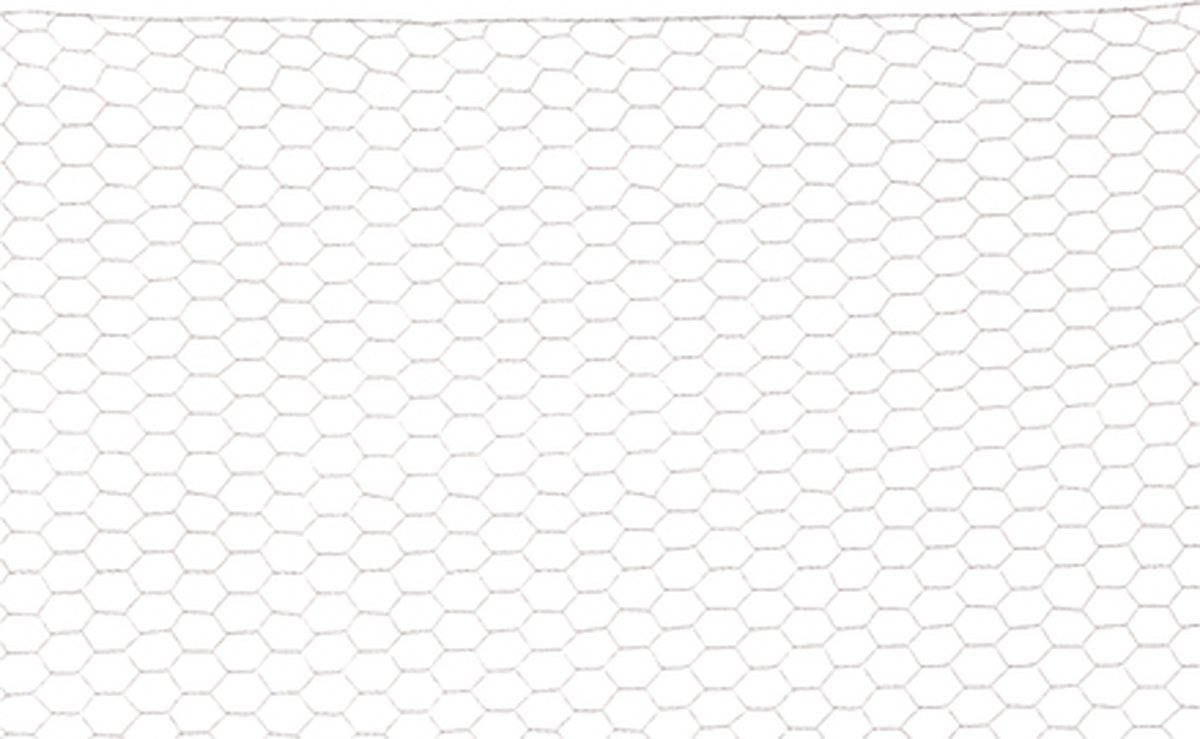 Giardino Zeskantgaas verzinkt 13 mm | 0,7 mm | rol 0,50–2,00 m x 5–25 m 0.50m x 5m