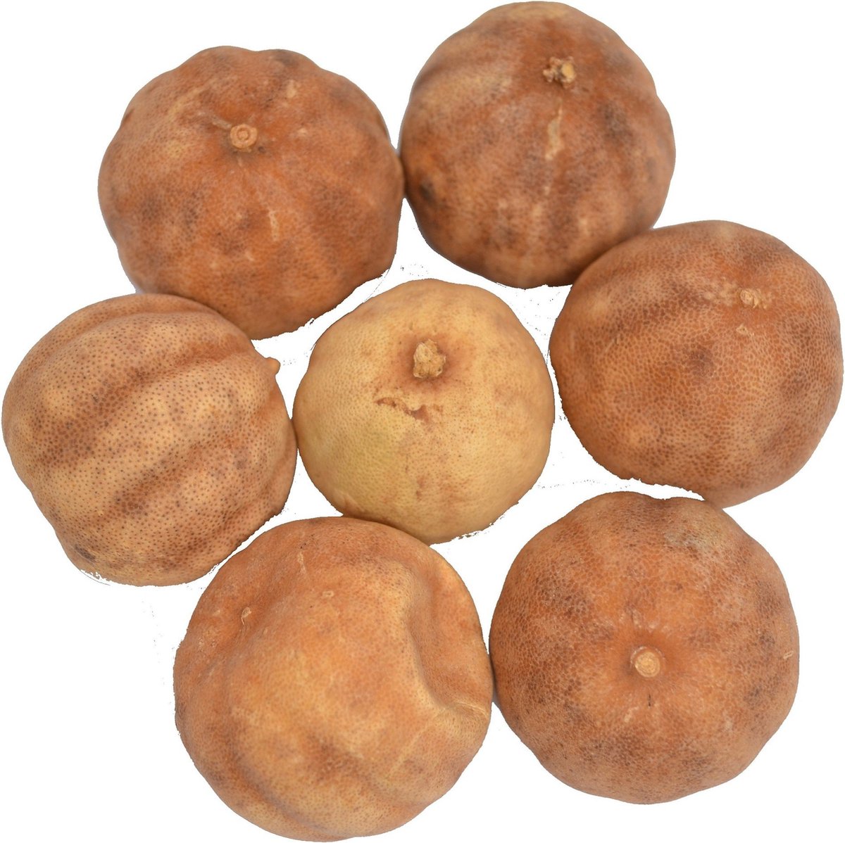 De Kruidenbaron - Limoen wit gedroogd - zak 250 gram