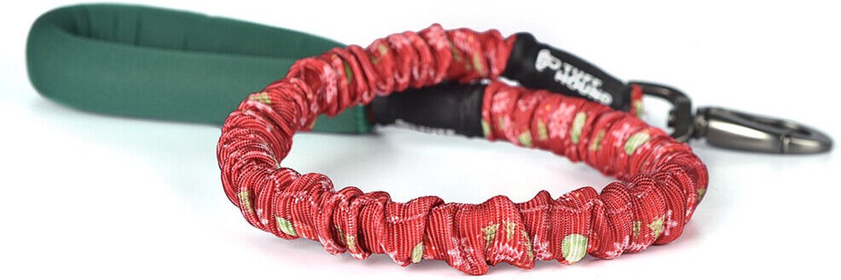 Hondenriem Intrekbare hondenriem - Stijlvolle Pet Riemen Running Training Tractie Touw - Sterke Hondenriem (120-150) cm) Rood/groen thumbnail 6