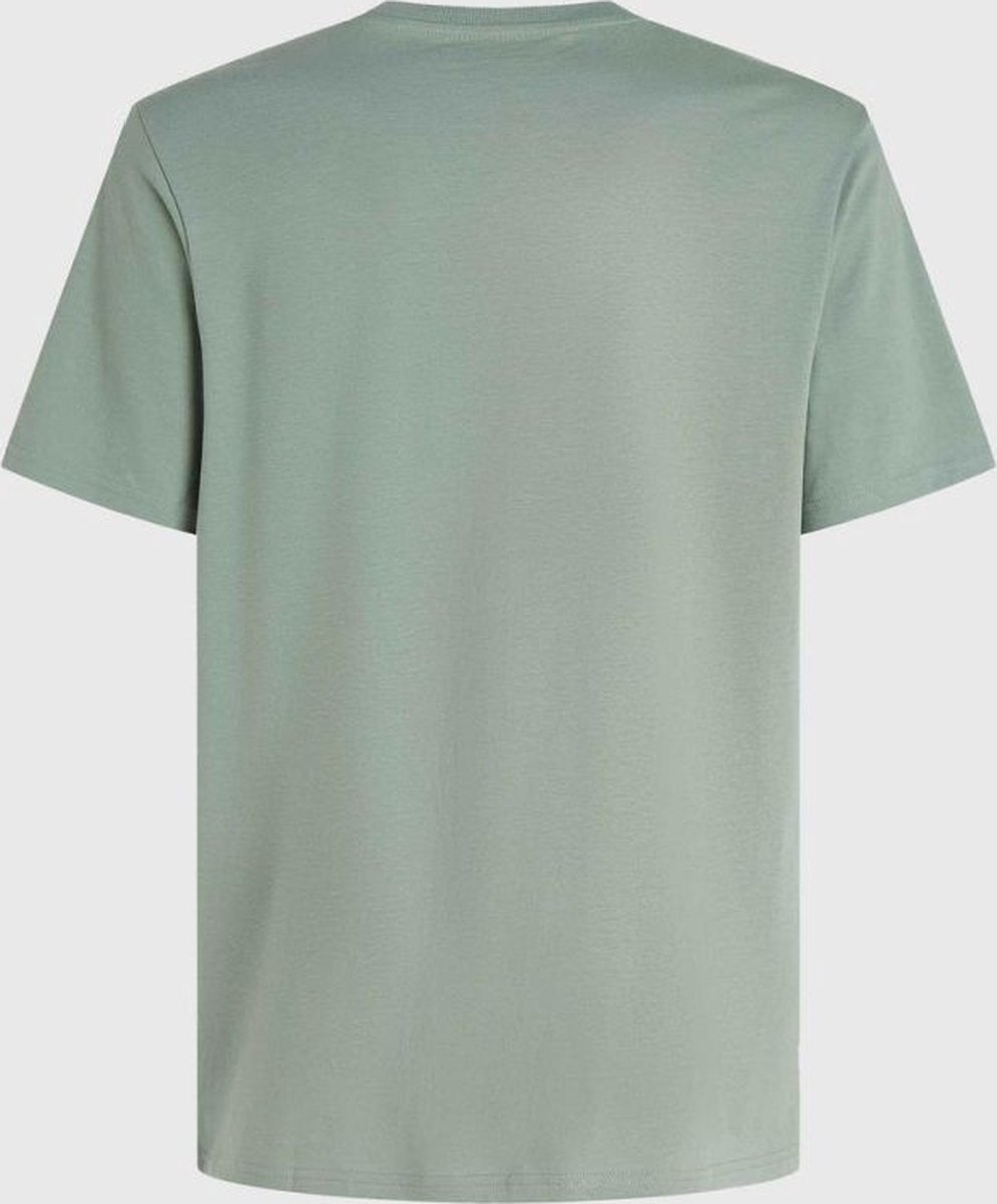 O’neill T-Shirts MIX & MATCH FLORAL GRAPHIC T-SHIRT Lily Pad