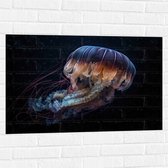 Muursticker - Kwal - Oceaan - Zee - Onderwaterleven - 90x60 cm Foto op Muursticker