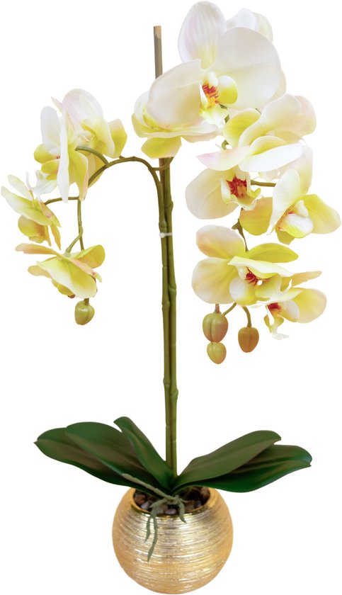 Greenmoods Kunstplanten - Kunstplant - Orchidee - Créme - 56 cm - In gouden pot