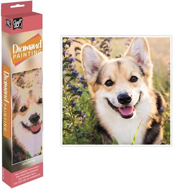 HMTTKPRO 5D DIY Diamond Painting Kit – Lavendel Landschaft, 30x40 Cm, Voll Besetzt Mit Strasssteinen, Für Home Decor