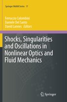 Springer INdAM Series- Shocks, Singularities and Oscillations in Nonlinear Optics and Fluid Mechanics