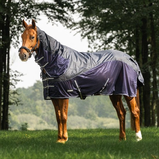 Bruin paard met Horka vliegendeken in navy en paars met afneembare hals.