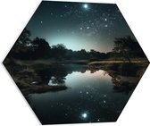 PVC Schuimplaat Hexagon - Landschap - Sterren - Water - Bomen - Nacht - 60x52.2 cm Foto op Hexagon (Met Ophangsysteem)