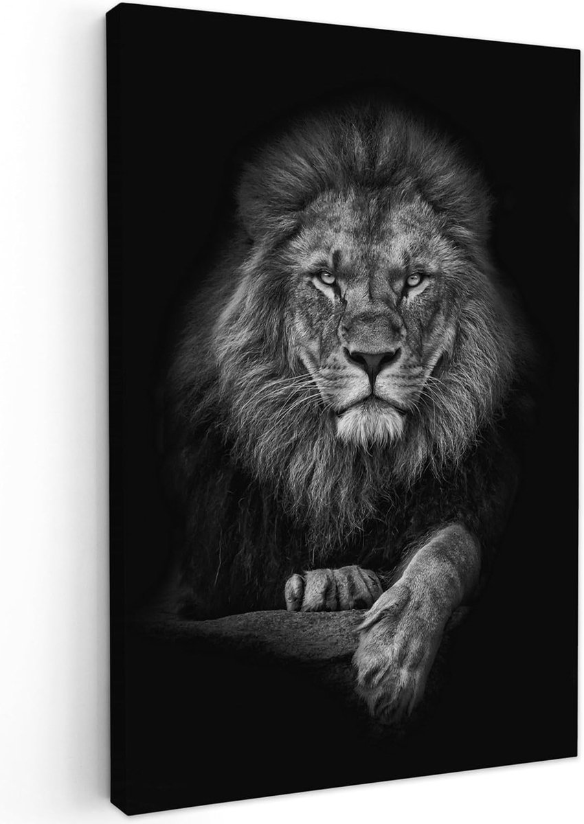 Canvas afbeelding 40x60 cm zwart wit decoratie woonkamer foto's zwart-wit ophangen muur decoratie woonkamer woning decoratie moderne wanddecoratie bosdieren - leeuw - wit - dieren